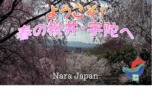 春の観光動画