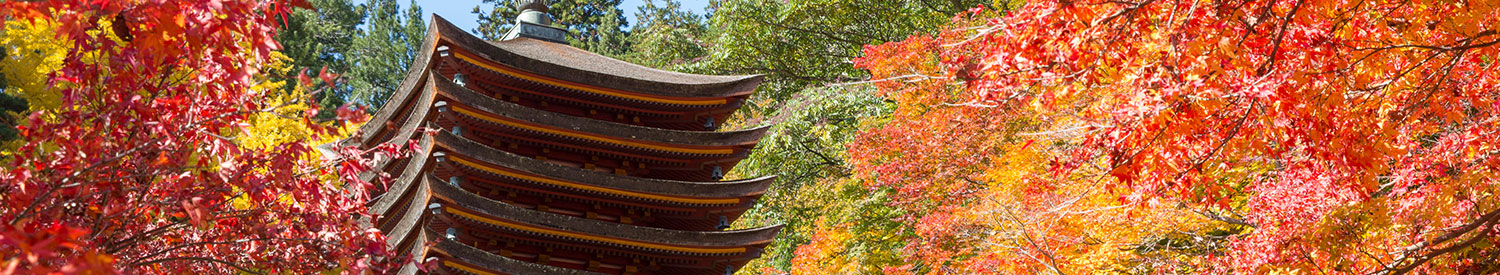 桜井市 談山神社の写真