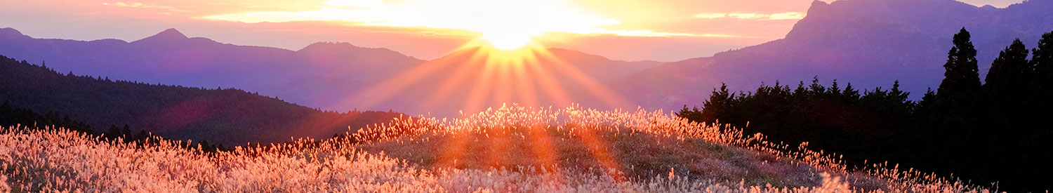 曽爾村 曽爾高原夕景の写真