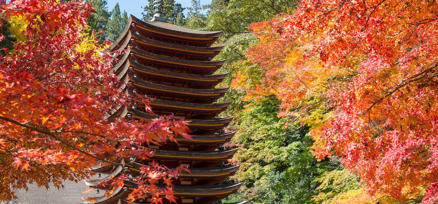 桜井市 談山神社