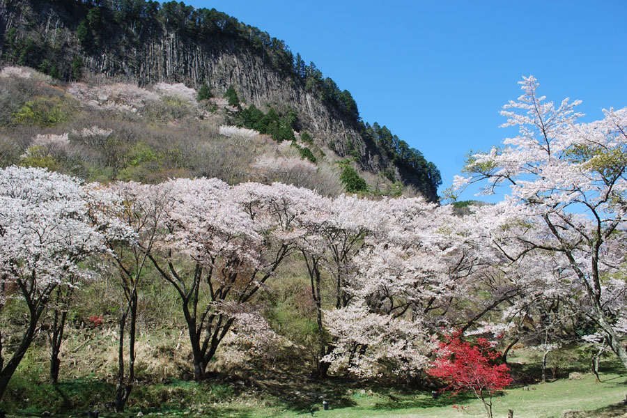 屏風岩の写真