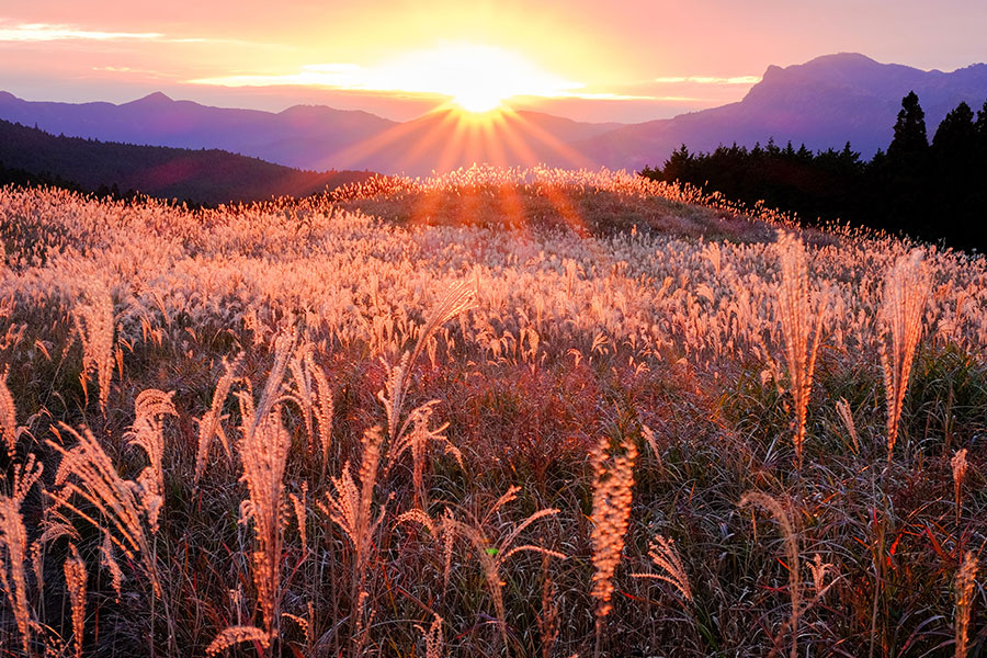 曽爾高原の夕景の写真