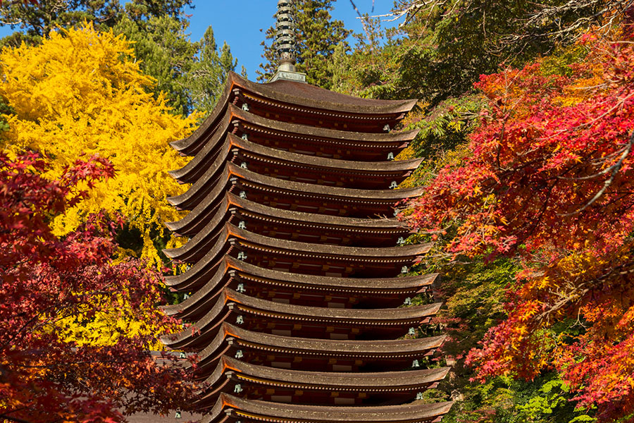 談山神社の紅葉の写真