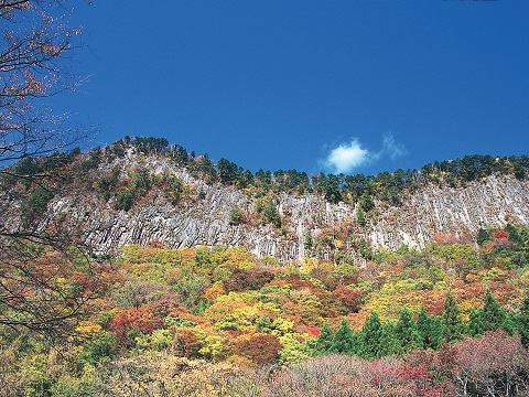 屏風岩公苑・秋の写真②