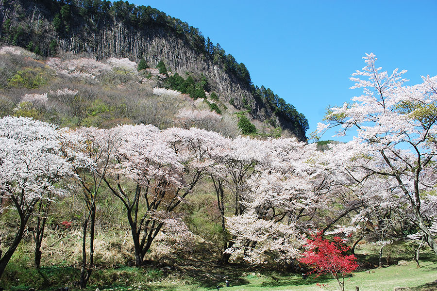 屏風岩公苑の写真