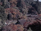 談山神社の紅葉の写真