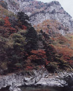 香落渓の紅葉の写真