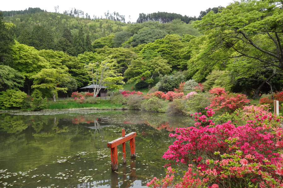 鳥見山公園の写真