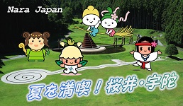 夏の観光動画の写真