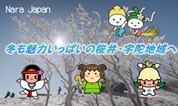 冬の観光動画の写真