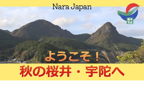 秋の観光動画の写真