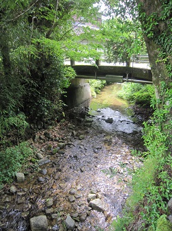 爽やかな川沿いを歩く写真