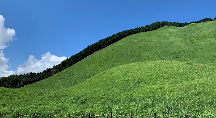 夏の曽爾高原の写真