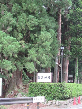観光探訪の様子の写真