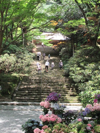 観光探訪の様子の写真