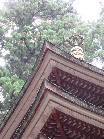 観光探訪の様子の写真