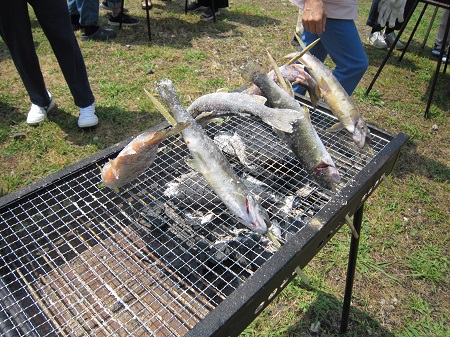 観光探訪の様子の写真