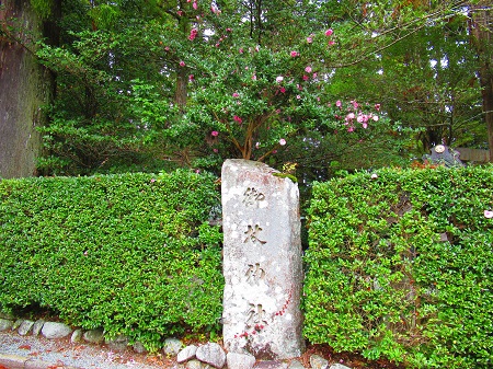 伊勢本街道ウォークの様子の写真