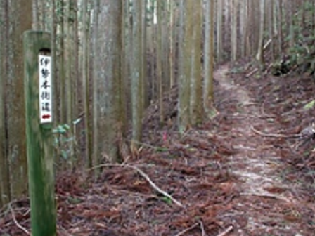 鞍取峠の写真