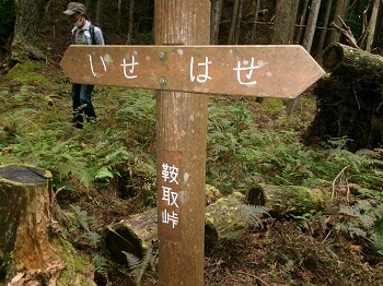 伊勢本街道ウォークの様子の写真