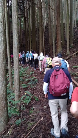 伊勢本街道ウォークの様子の写真