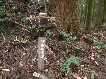 伊勢本街道ウォークの様子の写真