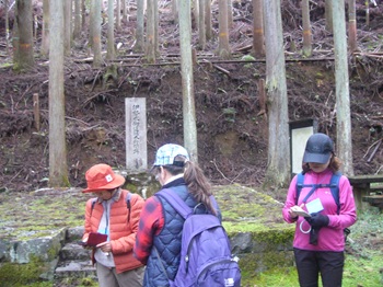 ウォーキングの様子の写真
