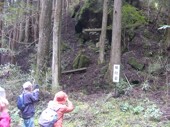 ウォーキングの様子の写真