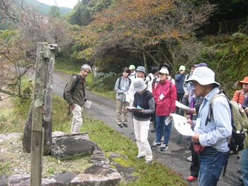 ウォーキングの様子の写真