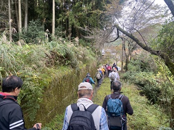 ウォーキングの様子の写真