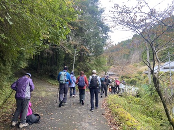 ウォーキングの様子の写真