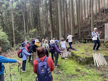 ウォーキングの様子の写真