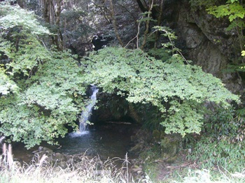 ウォーキングの様子の写真