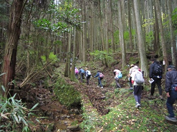 ウォーキングの様子の写真