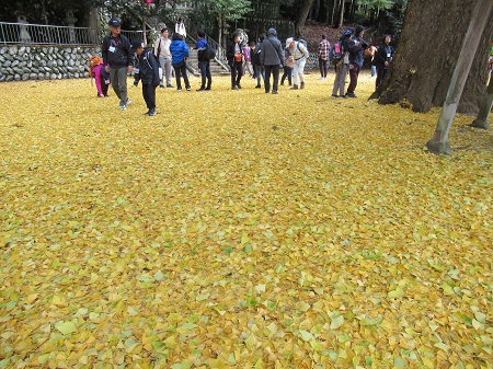 伊勢本街道ウォークの様子の写真