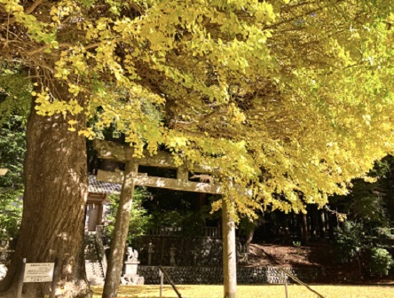 春日神社（土屋原）の写真