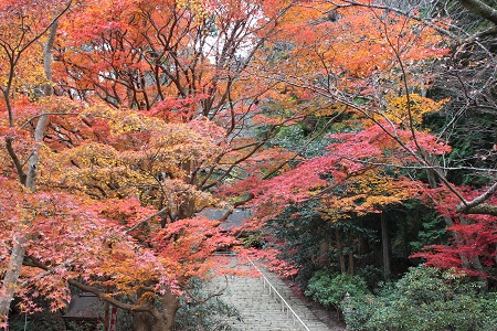 室生寺の写真