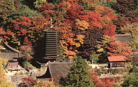 談山神社の写真