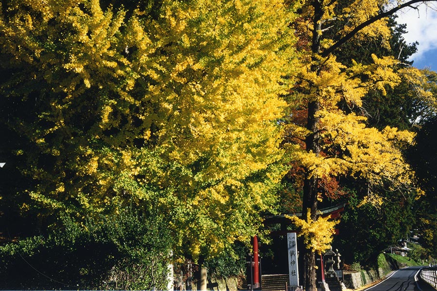 門僕神社の写真