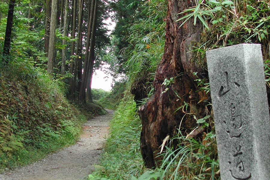 桜井市山の辺の道