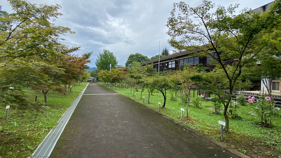 奈良カエデの郷「ひらら」の写真