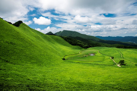 曽爾高原