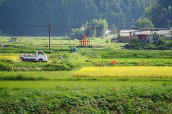 入選の写真